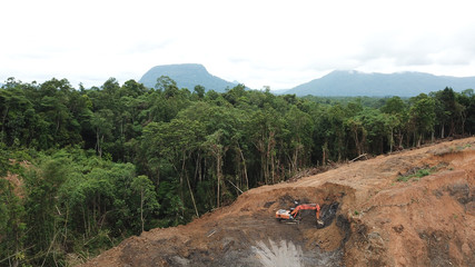 Deforestation. Logging of rainforest in Borneo, Malaysia