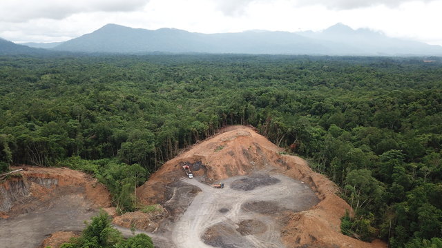 Deforestation. Logging of rainforest in Borneo, Malaysia