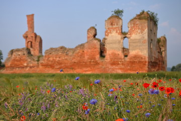 Romantyczne ruiny średniowiecznego zamku, na pierwszym planie piękne, kolorowe letnie polne kwiaty rosną na łące