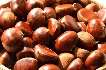 Chestnuts, autumn harvest