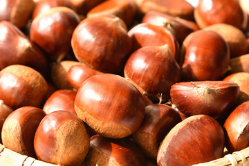 Chestnuts, autumn harvest