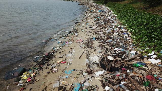 Plastic pollution on beach and in ocean  