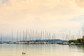 Water lanscape in warm colors. Ducks and sailboats in the dock.