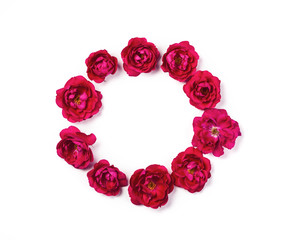Round frame wreath made of pink rose flowers isolated on white background. Top view. Flat lay.