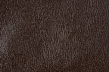 Natural leather background