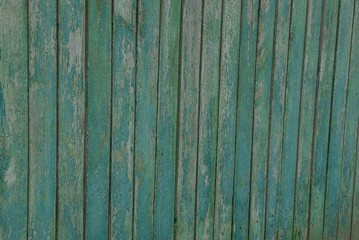 Fototapeta na wymiar gray green texture of wooden fence boards