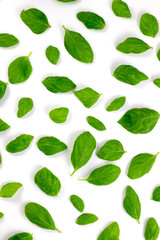 Basil leaves, fresh organic basil pesto, green leaf isolated on white background, Top view, Flat lay.