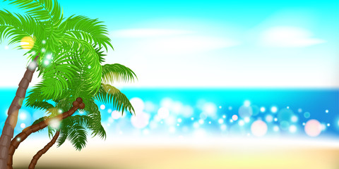 Fototapeta na wymiar Summer time seashore palm landscape
