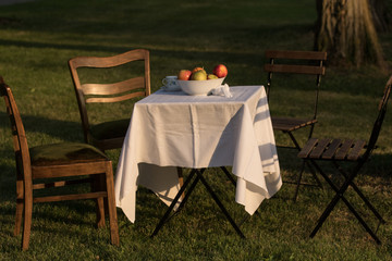 Obstschale auf einem Tisch im Garten