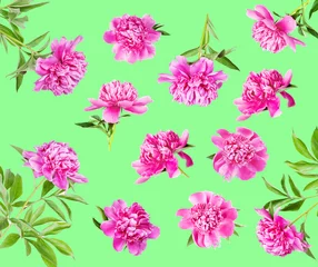 Fotobehang Set of many pink peonies © epitavi