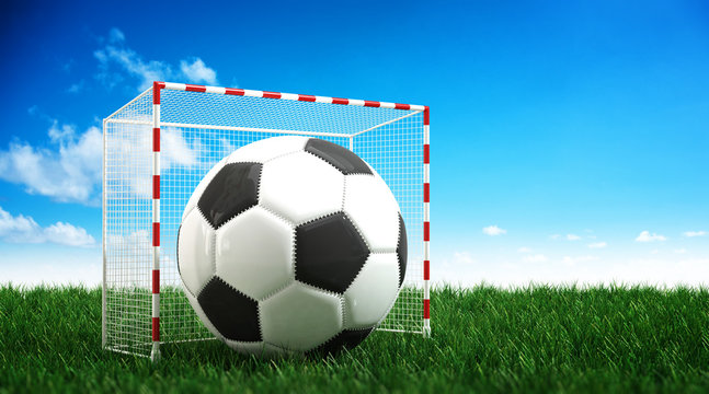 Soccer ball in small goal concept