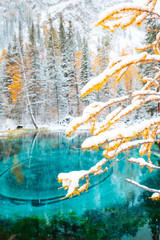 Fantastic blue geyser lake in the autumn forest. Altai, Russia.