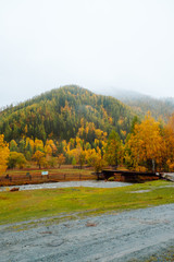 Obraz premium Mountains with colorful autumn forest at overcast. Beautiful landscape in autumn.