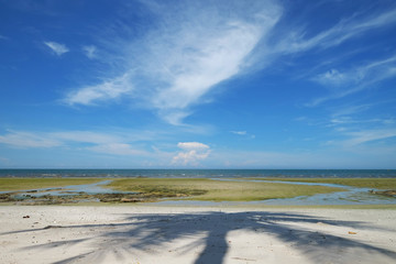 Shadow of coconut tree from sunshine on the beach with big green algae land and the sea on beautiful cloudy blue sky day