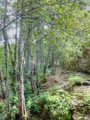 Candelario, pueblo de Salamanca en Castilla y León, España