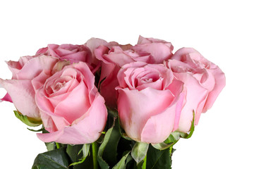 Pink roses bouquet