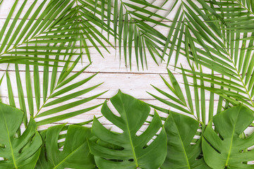 Real tropical palm leaves on white wood flat lay design