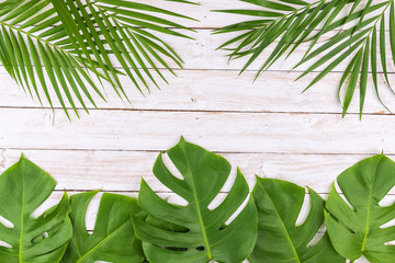 Real tropical palm /monstera leaves on white wood flat lay design