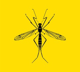 Mosquito silhouette vector illustration