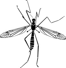 Mosquito silhouette vector illustration
