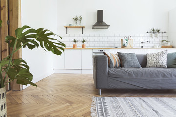 Stylish scandinavian open space with kitchen accessories, plants and sofa. Design room with white...