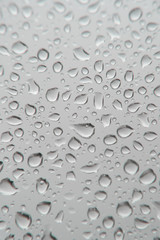 Drops of rain on the window