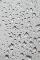 Drops of rain on the window