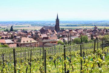 Dambach la Ville village in Alsace, France