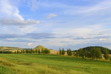 Summer landscape with mountain