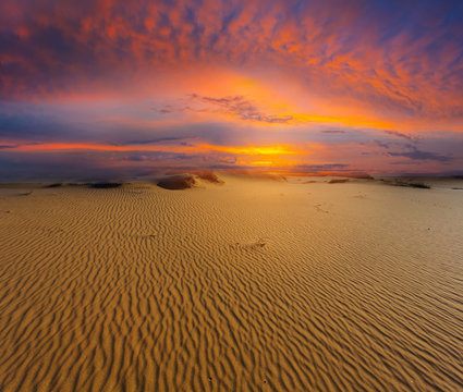 dry sandy desert scene at the sunset
