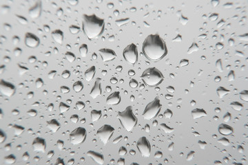 Drops of rain on the window