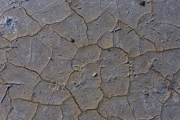 closeup dry cracked earth background