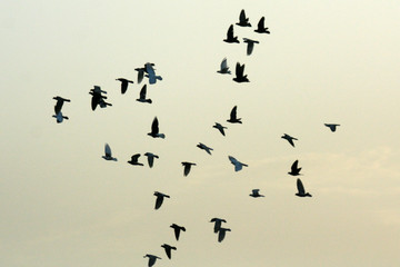 Agra, India