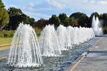 庭園の噴水