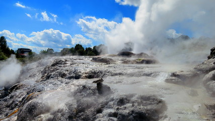 Geyser in Rotorua, New Zealand