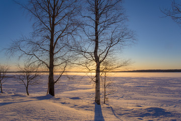 Winter landscape from Sotkamo, Finland.