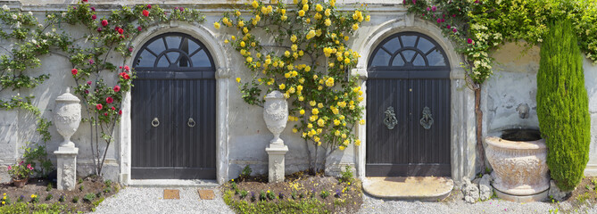 Schöne Kletterrosen im Park der Villa Monastero, ( Teil 1 )
