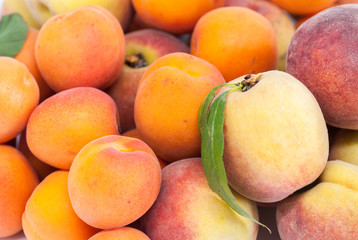 Fototapeta na wymiar close up on mixed heap of ripe delicious peaches and apricots