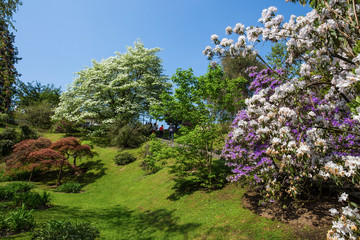 PALLANZA, ITALY APRIL, 25, 2018 - Beautiful flowers landscape in the botanical garden of Villa Taranto in Pallanza, Verbania, Italy.