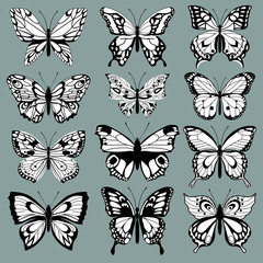 Fototapeta na wymiar set decorative butterflies