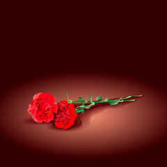 two mourning carnations for a funeral. Red flowers on a dark background. Vector illustration