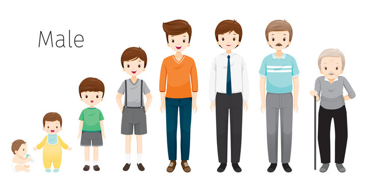 The Life Cycle Of Man. Generations And Stages Of Human Body Growth. Different Ages, Baby, Child, teenager, adult, Old Person, Age, People, Development, Lifestyle