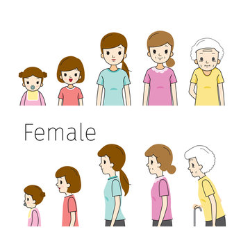The Life Cycle Of Woman. Generations And Stages Of Human Body Growth. Different Ages, Baby, Child, teenager, adult, Old Person. Outline, Side View, Age, People, Development, Lifestyle