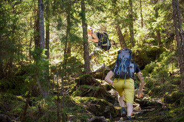 Obraz na płótnie Canvas Hikers on a trail in a wood