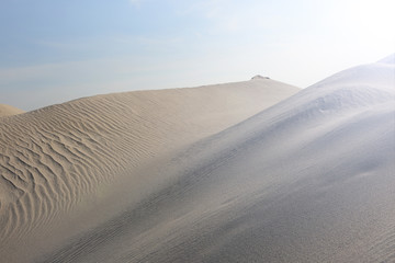 Fototapeta na wymiar Wzgórza piaszczystych wydm.