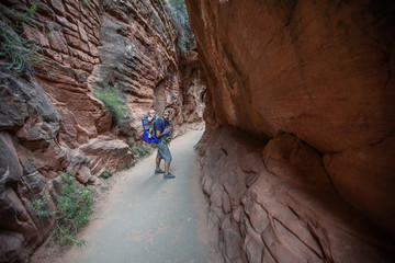 A man with his baby boy are trekking in Zion national park, Utah, USA