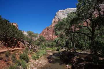 Landscape of the Zion National park, Utah, USA