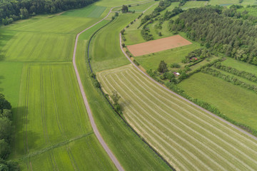 Luftbild Wiesen und Felder im Frühling