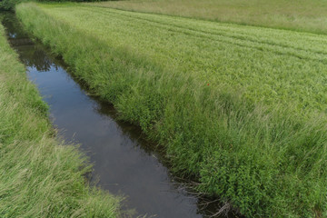 Rankbach durchfliest Aue