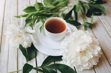 White cup of tea and white peonies on light gray wooden table. Top view, concept.